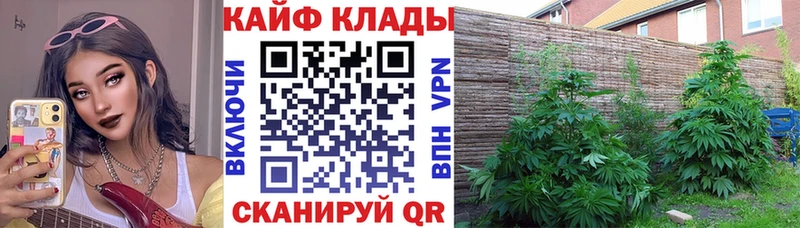 Сколько стоит Новоалтайск COCAIN  A-PVP  ГАШ  Бошки Шишки  Меф 