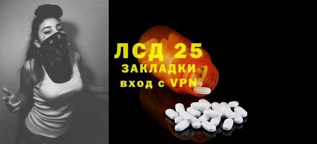 прущие грибы Абинск