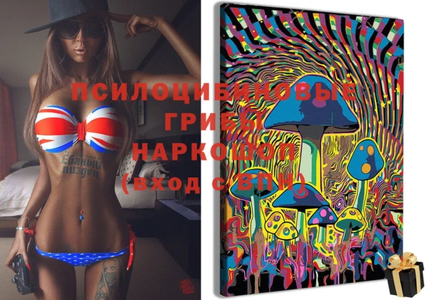 прущие грибы Алексеевка