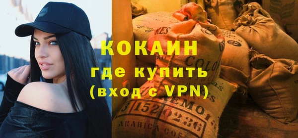 ешки Горняк