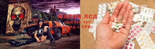 прущие грибы Абинск