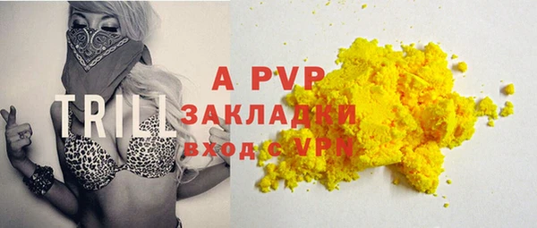 прущие грибы Абинск