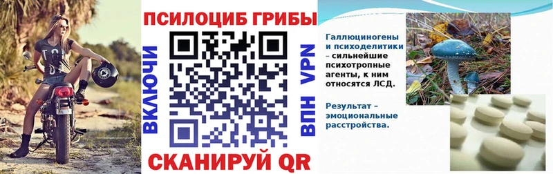 Псилоцибиновые грибы мицелий  где найти наркотики  Новоалтайск 